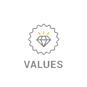 Values Icon